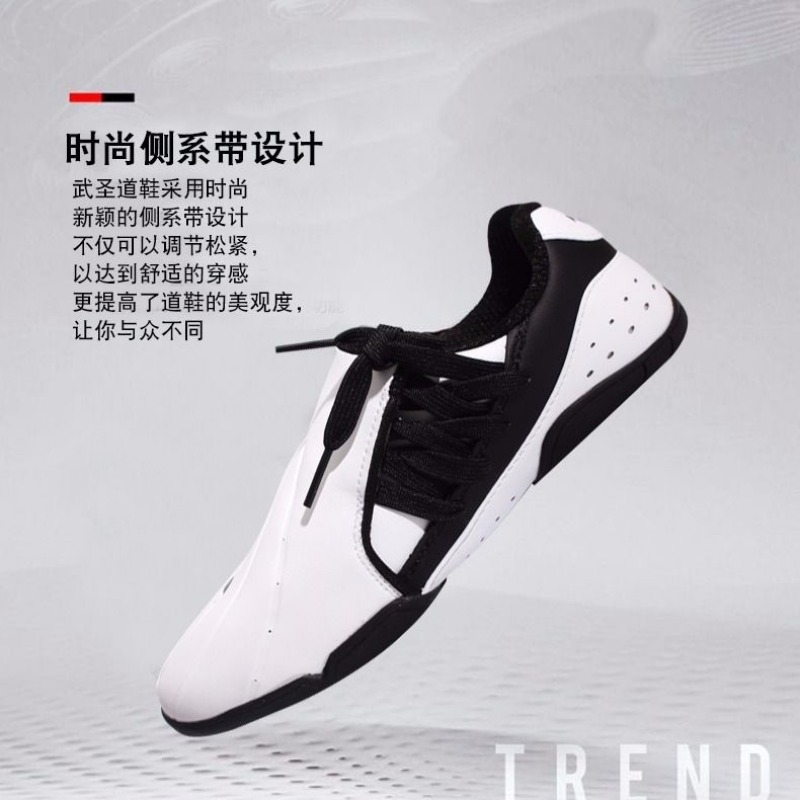 Sapatos profissionais de artes - Women'S Shoes Vs Men'S Size avaliação e preço