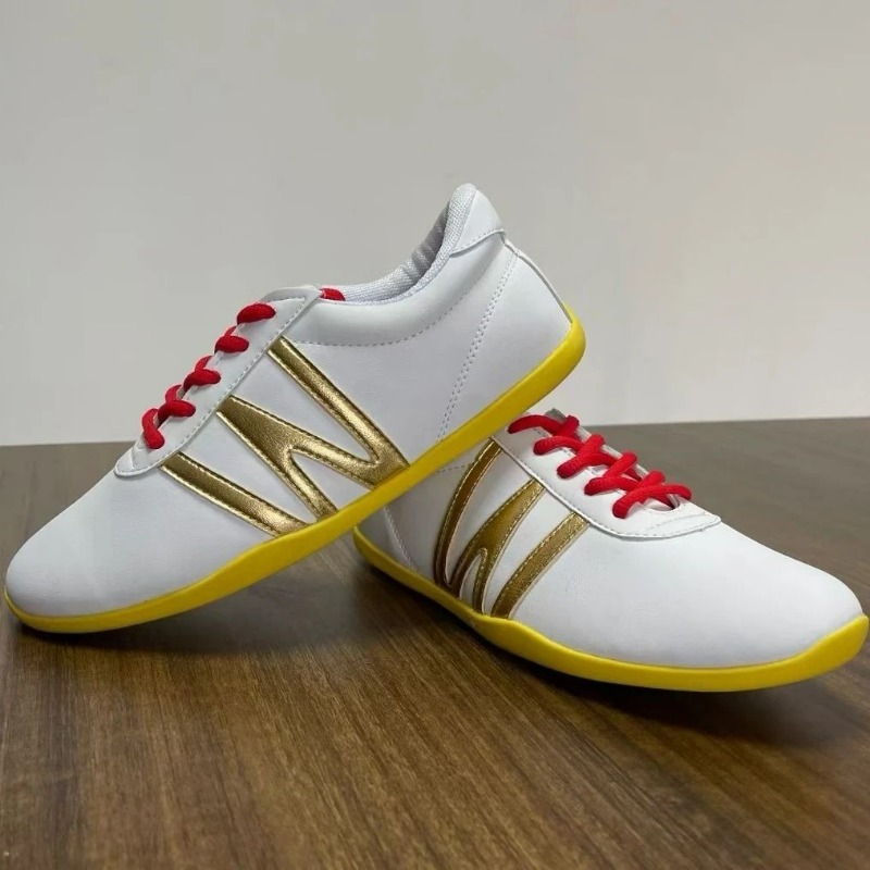 Sapatos profissionais de artes - Women'S Shoes Vs Men'S Size avaliação e preço